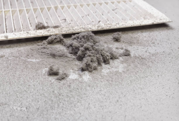 Best Residential Air Duct Cleaning  in Normandy Park, WA