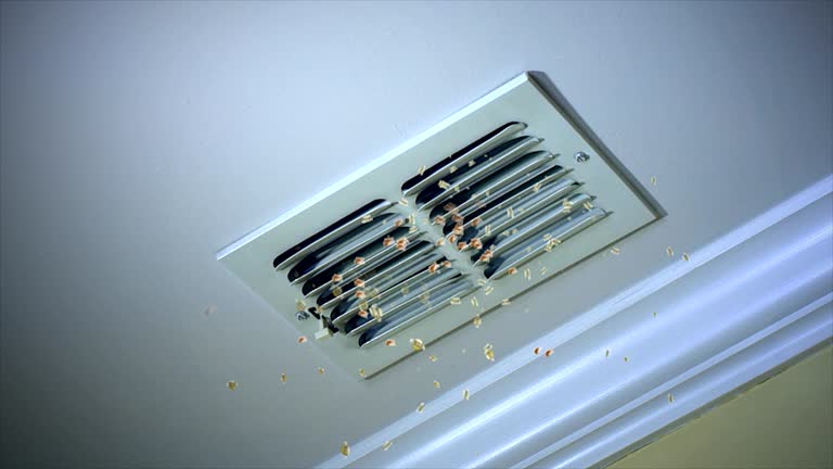 Best Affordable Duct Cleaning Services  in Normandy Park, WA