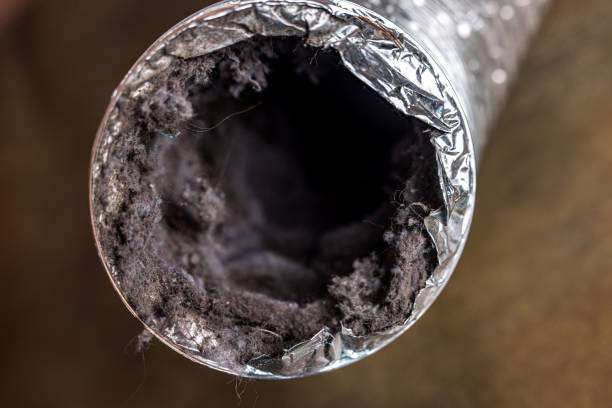 Best Home Air Vent Cleaning  in Normandy Park, WA